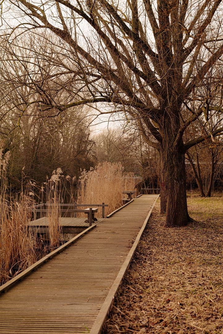 Van Boshuizenstraat 357, Amsterdam foto-21 blur