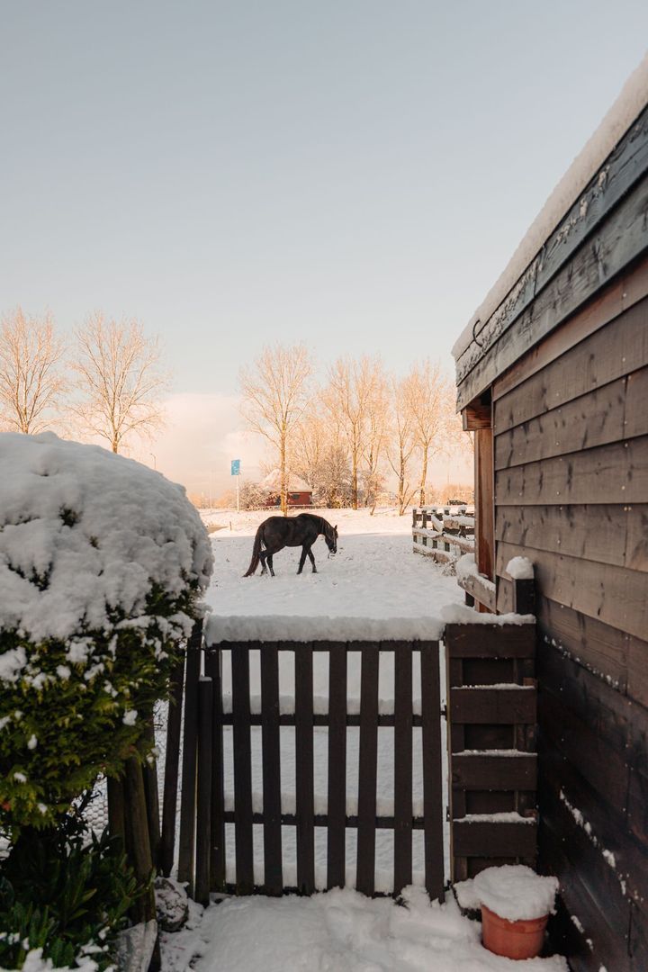 Amsteldijk Zuid 26, Amstelveen foto-15 blur