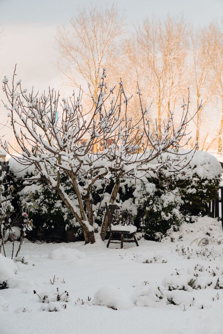 Amsteldijk Zuid 26, Amstelveen foto-18 blur