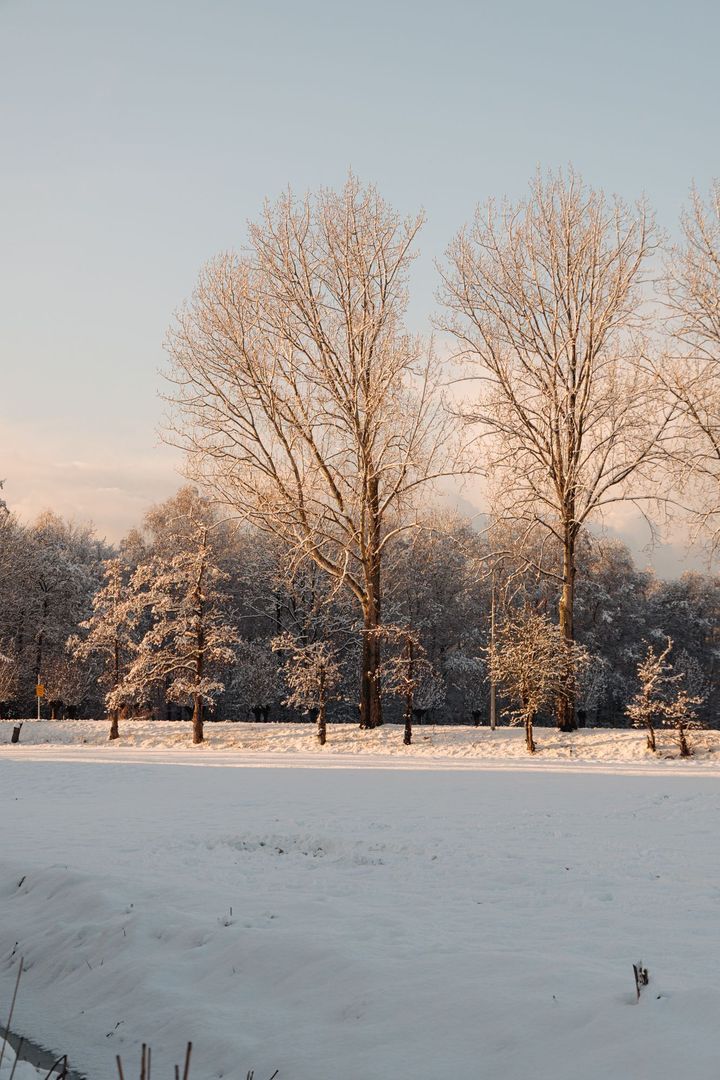 Amsteldijk Zuid 26, Amstelveen foto-19 blur