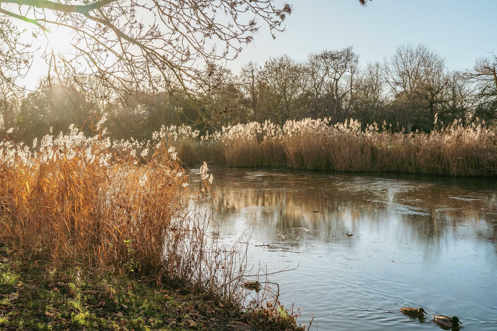 Middenweg 79 A 1, Amsterdam foto-30 blur