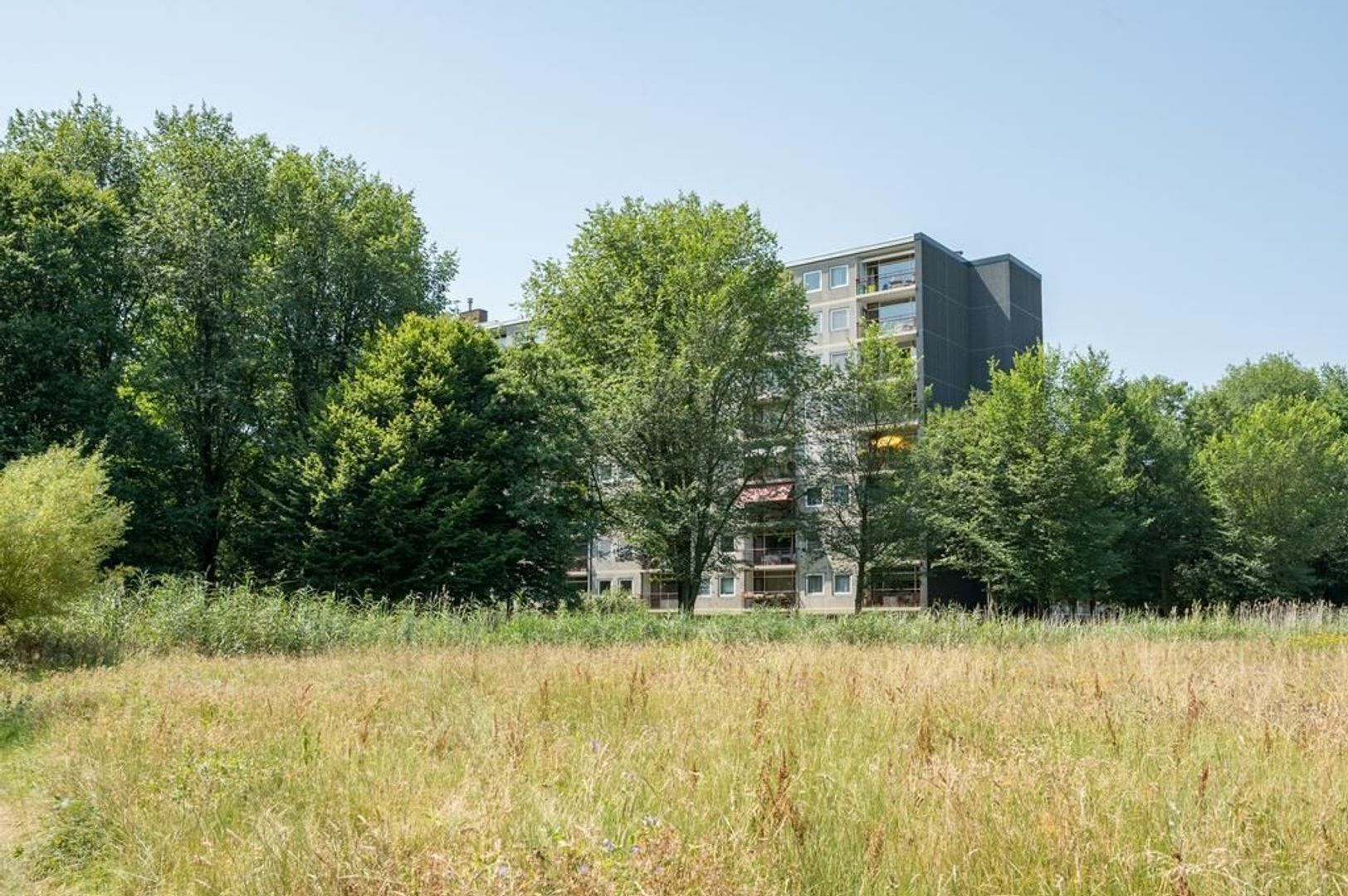 Elpermeer 92, Amsterdam foto-32 blur