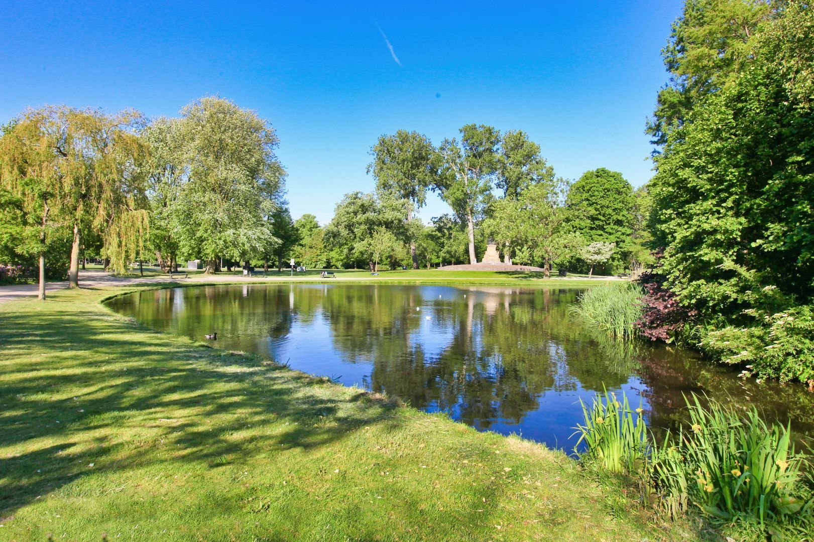 Woestduinstraat 31 H, Amsterdam foto-50 blur