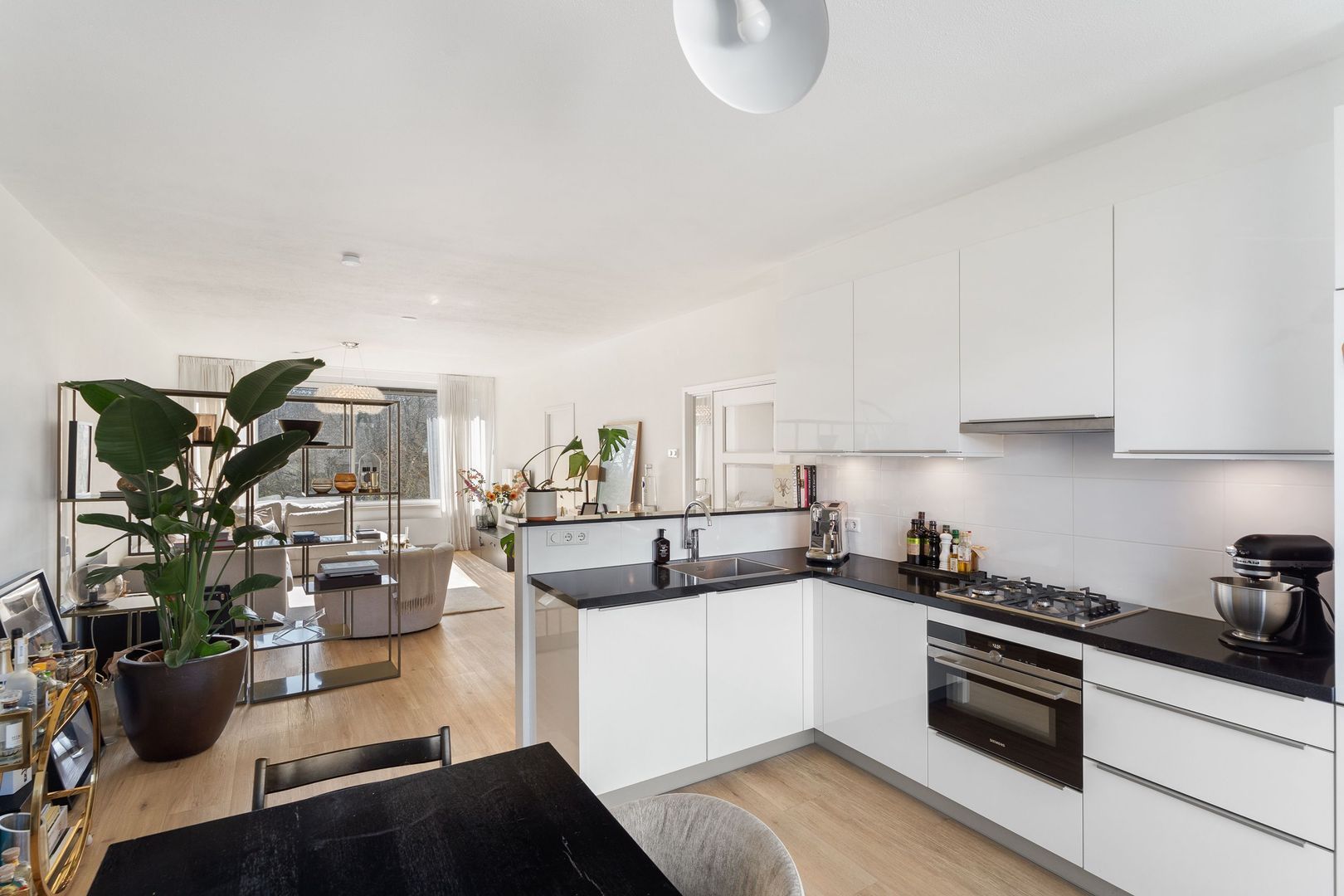 Slangenburg 111, Amsterdam foto-19 blur