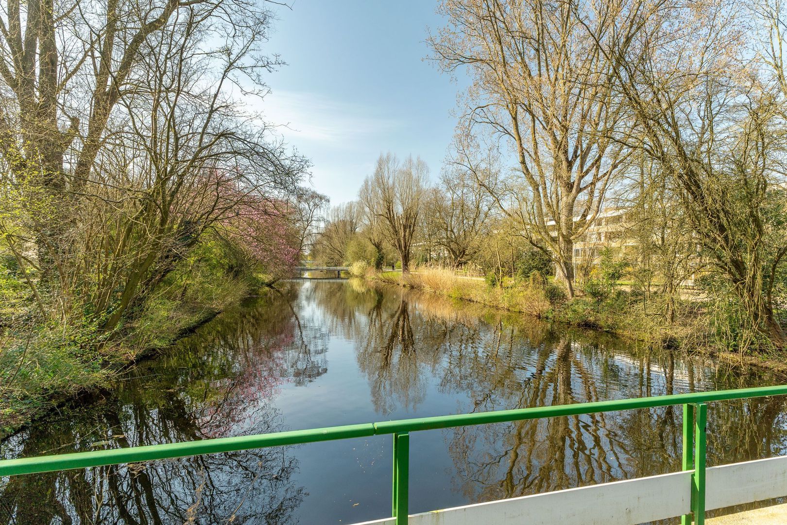 Slangenburg 111, Amsterdam foto-42 blur