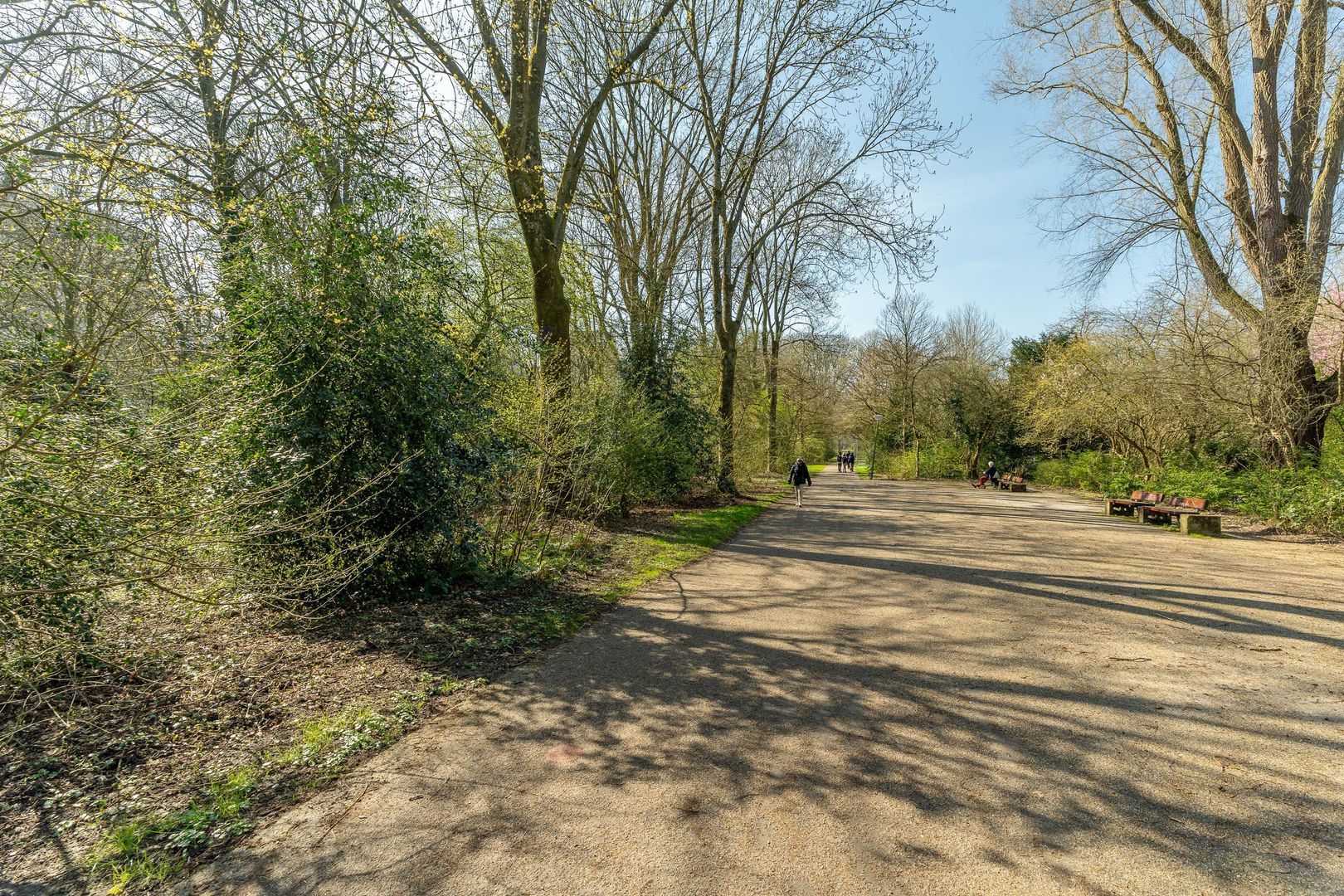 Slangenburg 111, Amsterdam foto-43 blur