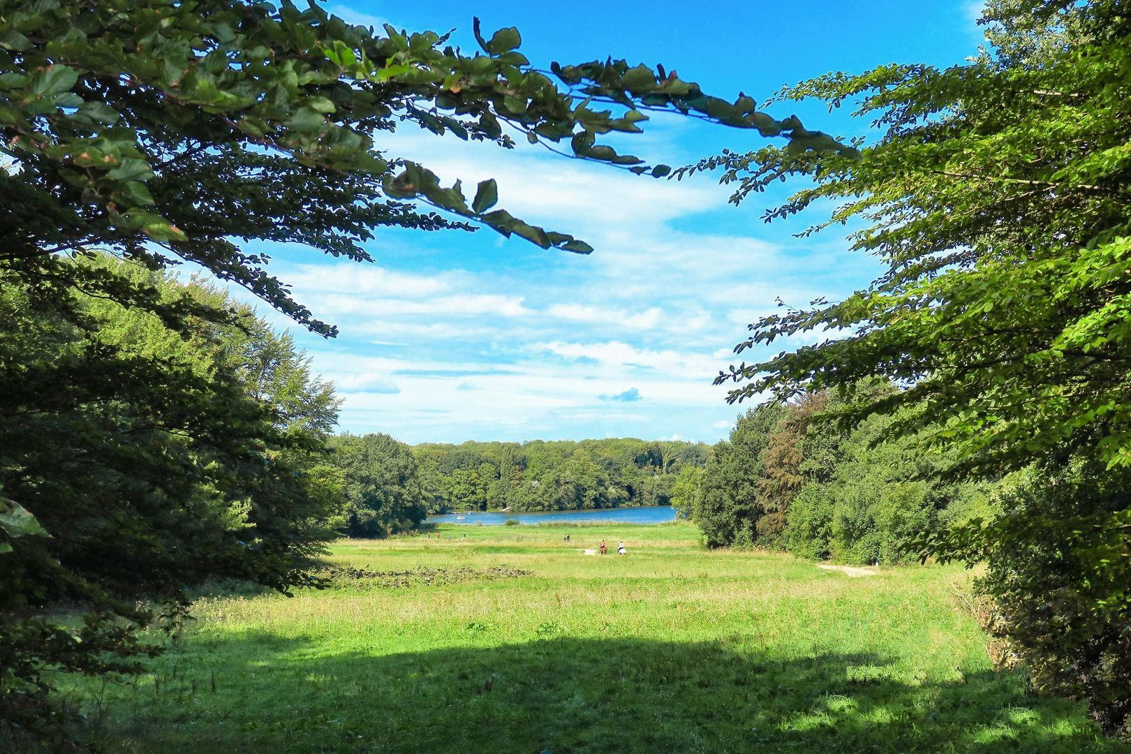 Eikenrodelaan 89, Amstelveen foto-44 blur