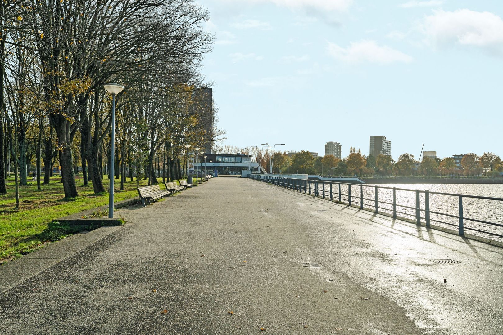 Burgemeester Hogguerstraat 1217, Amsterdam foto-25 blur