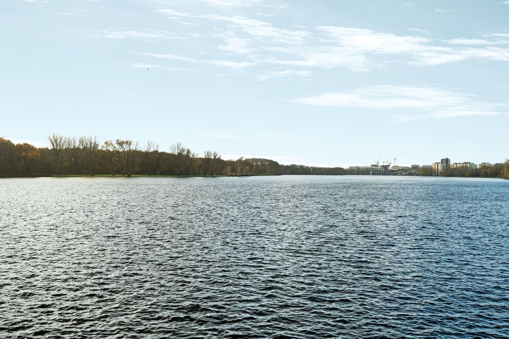 Burgemeester Hogguerstraat 1217, Amsterdam foto-26 blur