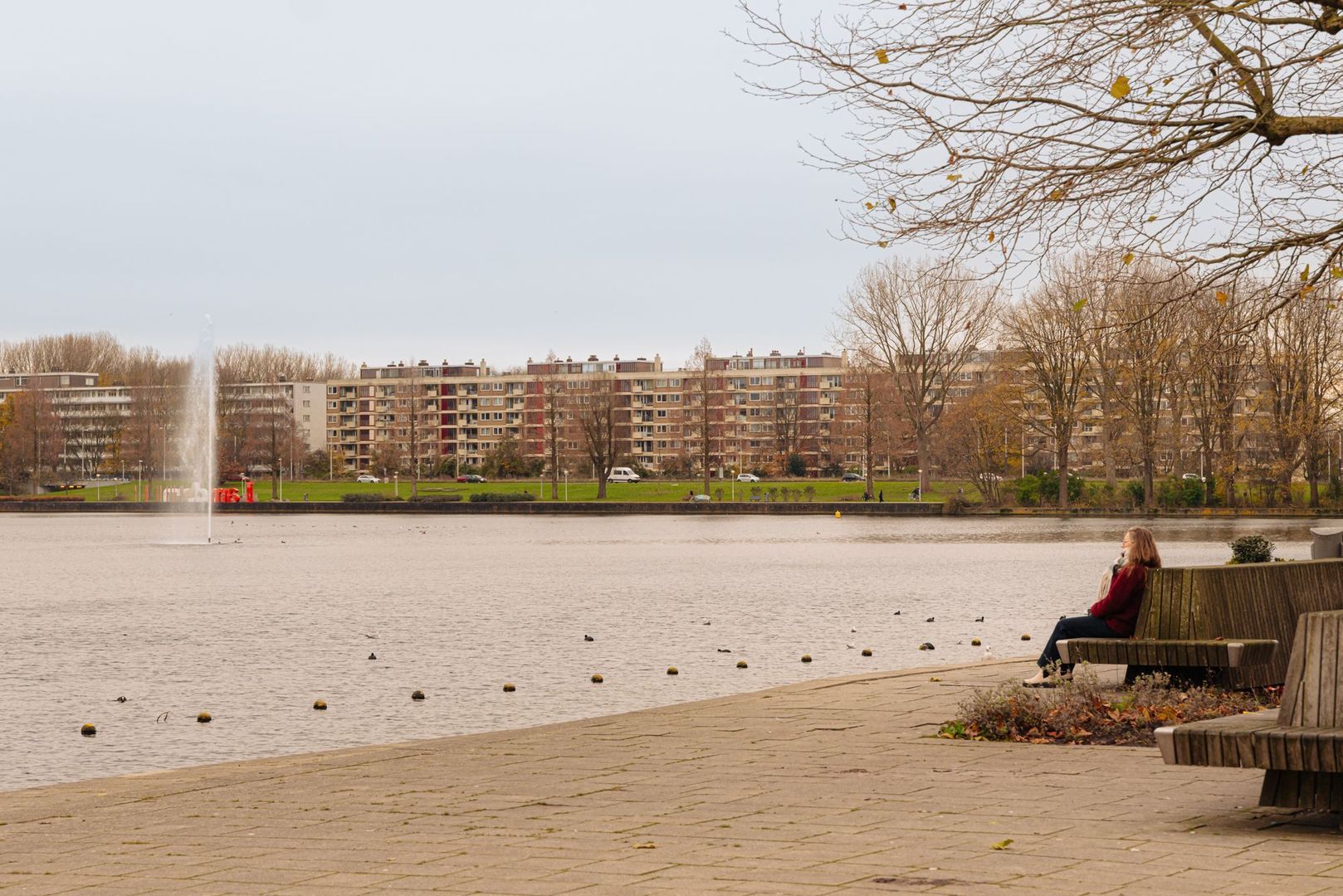 Oeverpad 259, Amsterdam foto-31 blur