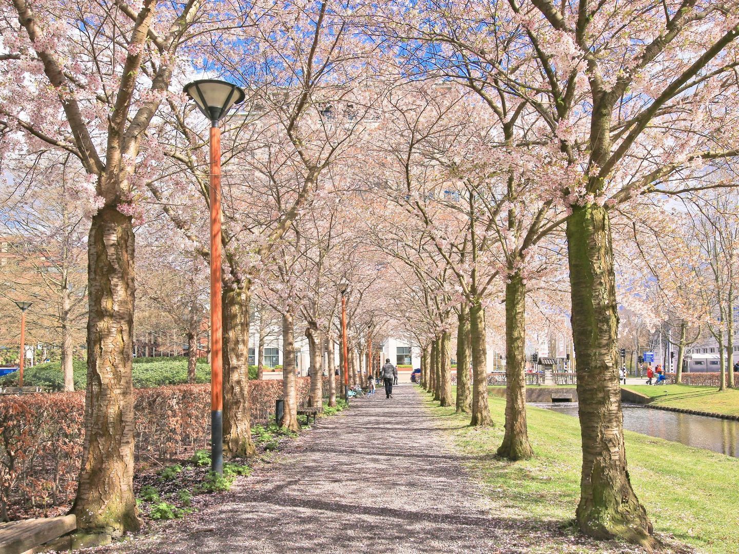 Rembrandtweg 176, Amstelveen foto-54 blur