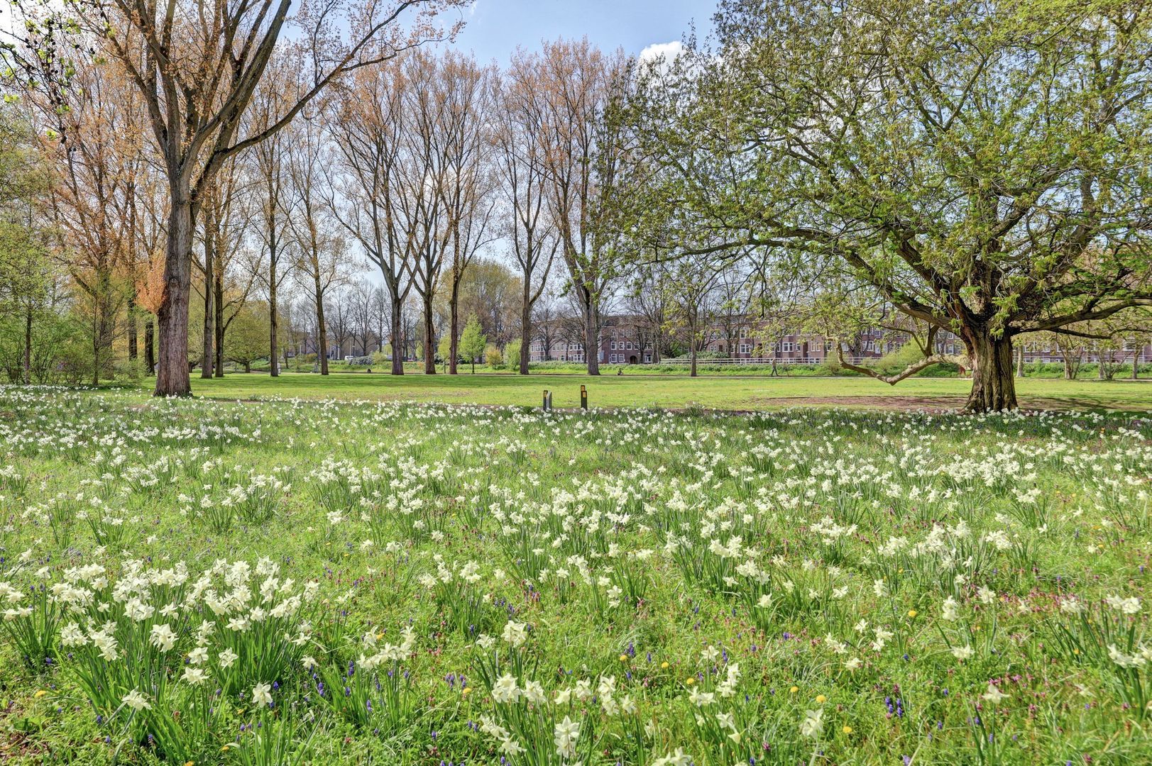 Hunzestraat 97 1, Amsterdam foto-23 blur