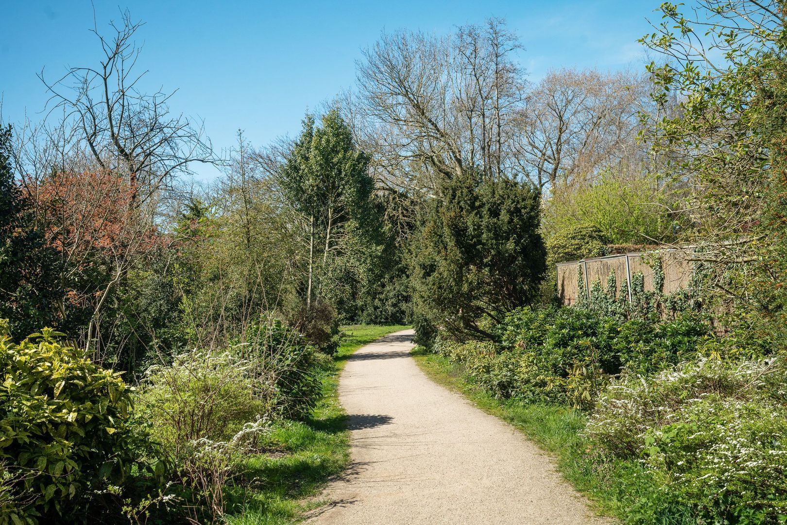Eendrachtstraat 8 2, Amsterdam foto-44 blur