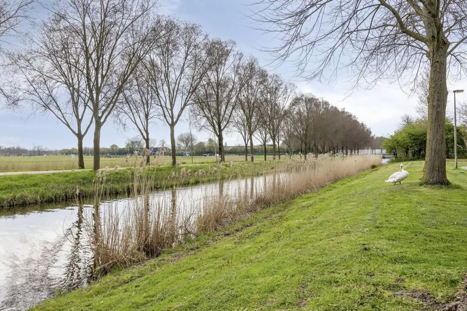 Doncanstraat 1, Purmerend foto-39 blur