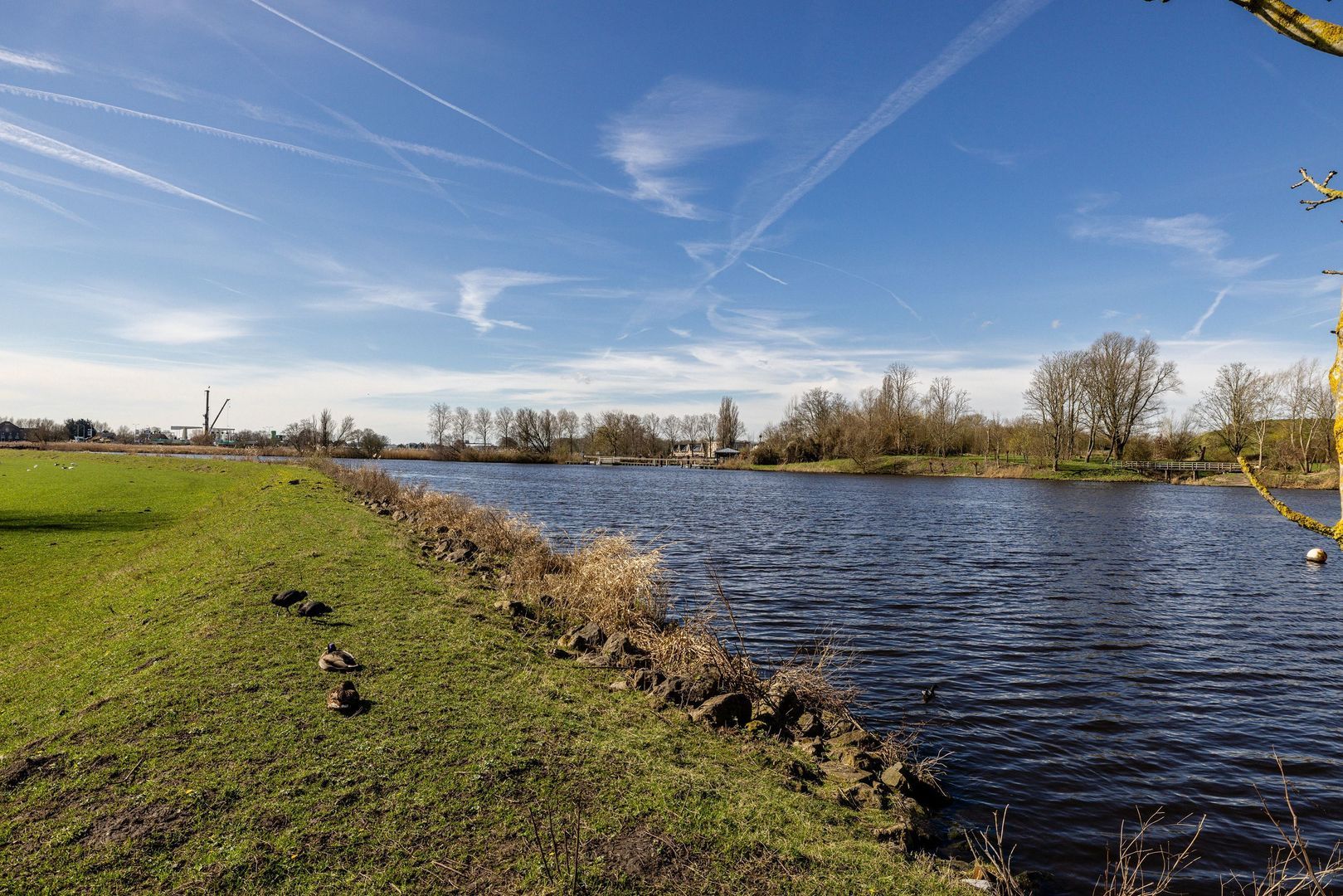 Zwemmerslaan 7, Haarlem foto-44