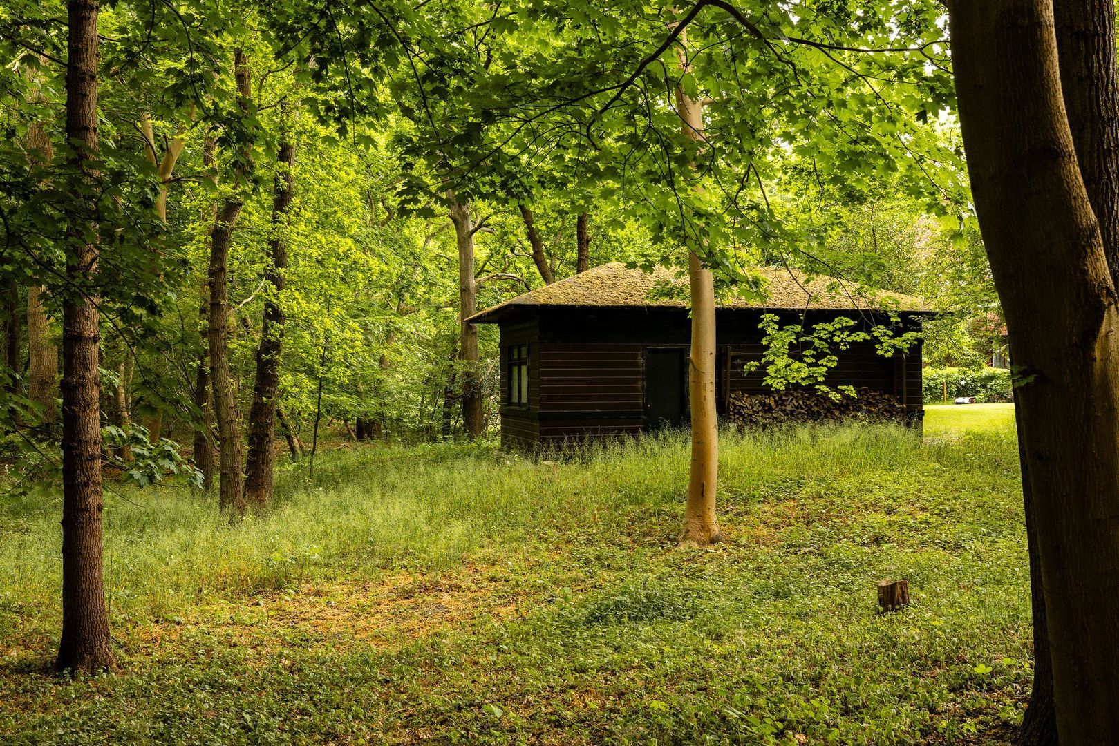 Herenlaan 2, IJmuiden foto-83