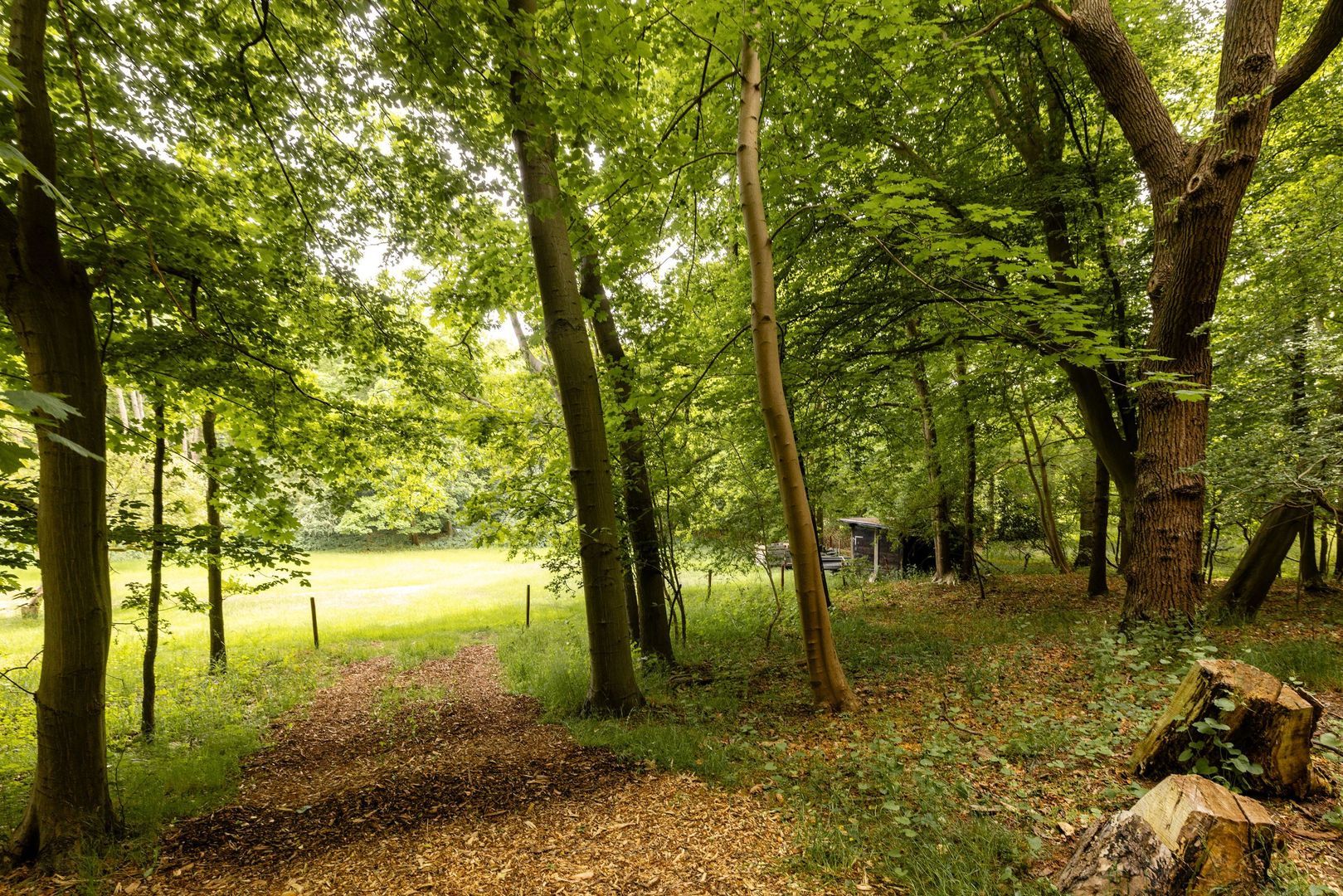 Herenlaan 2, IJmuiden foto-84