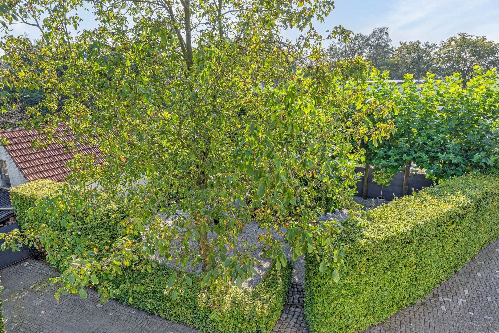 Steenweg op Baarle-Hertog 44, Turnhout foto-45