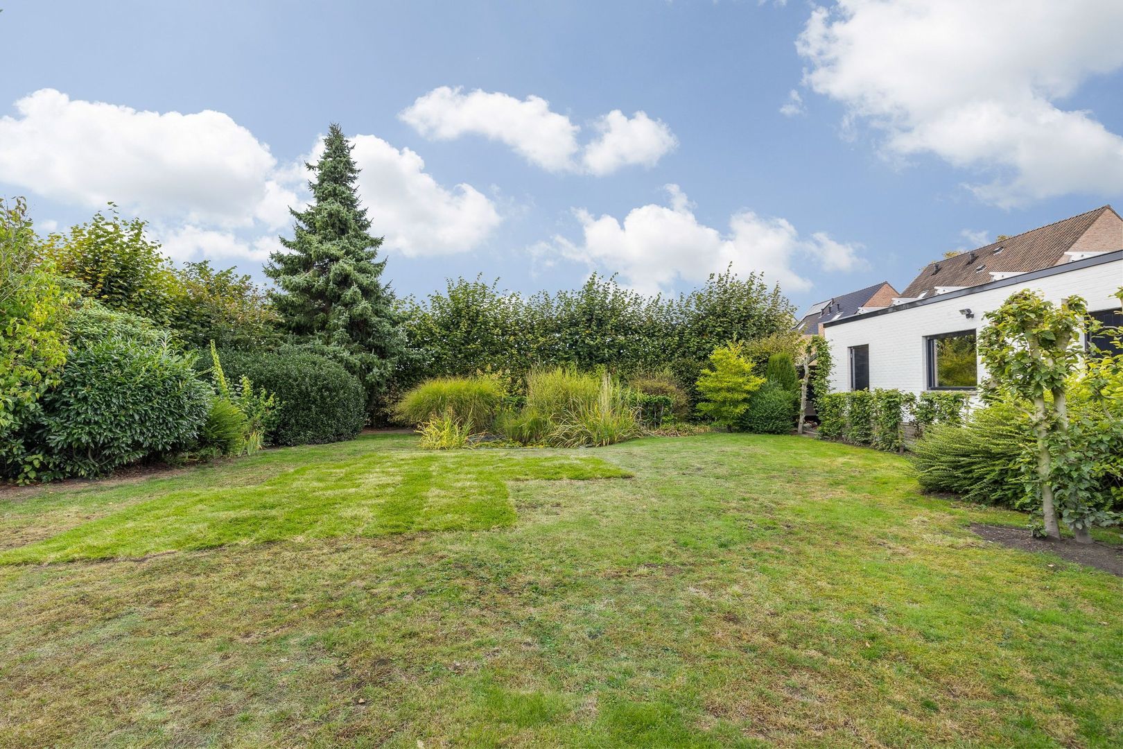 Kastelein 4, Baarle-Hertog foto-42