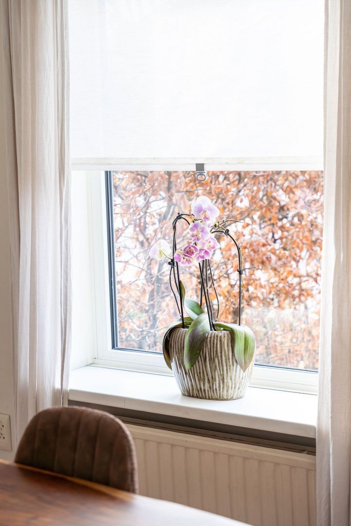 Hoogbraak 12, Baarle-Nassau foto-8