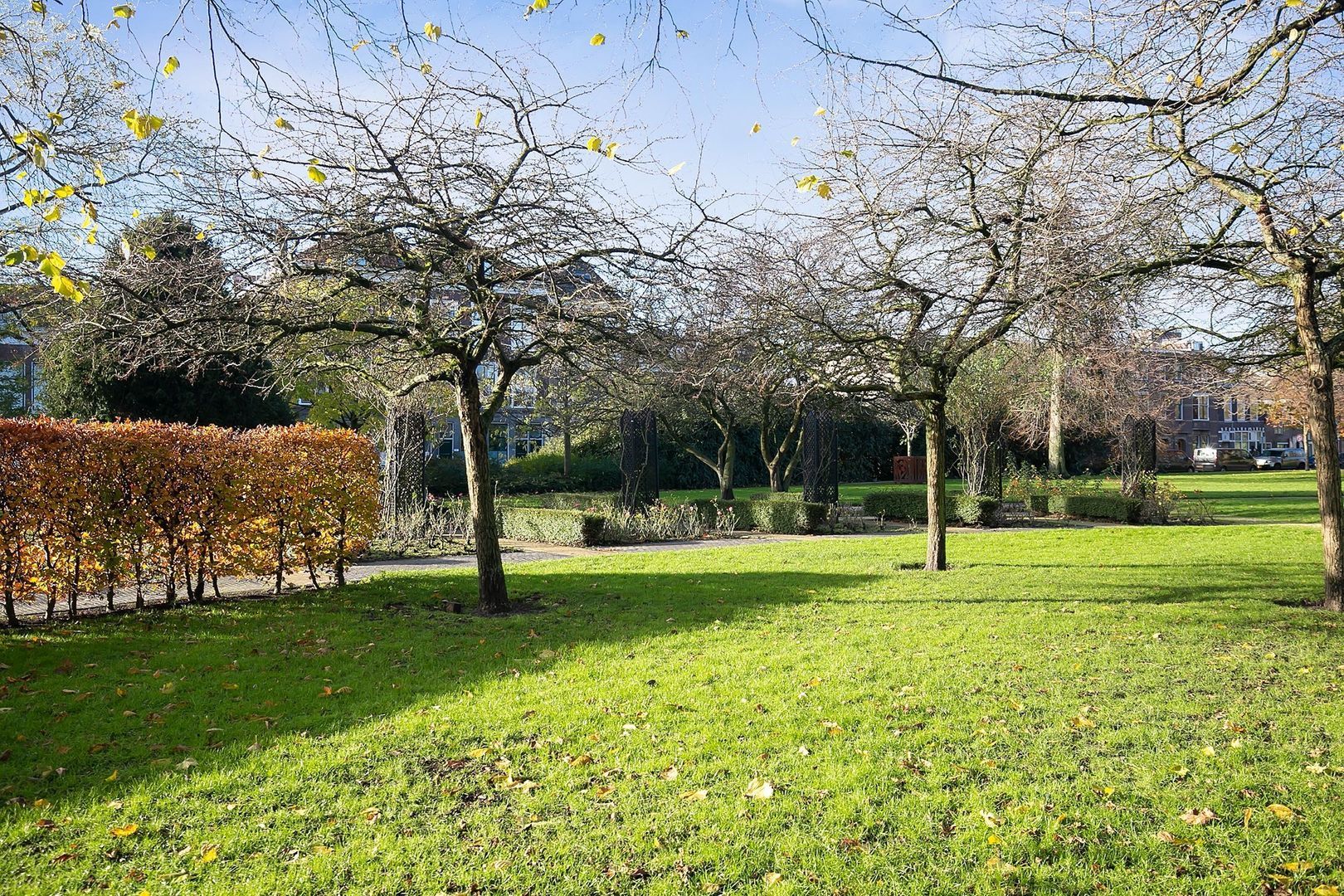 Tuinlaan 62 b, Schiedam foto-37 blur