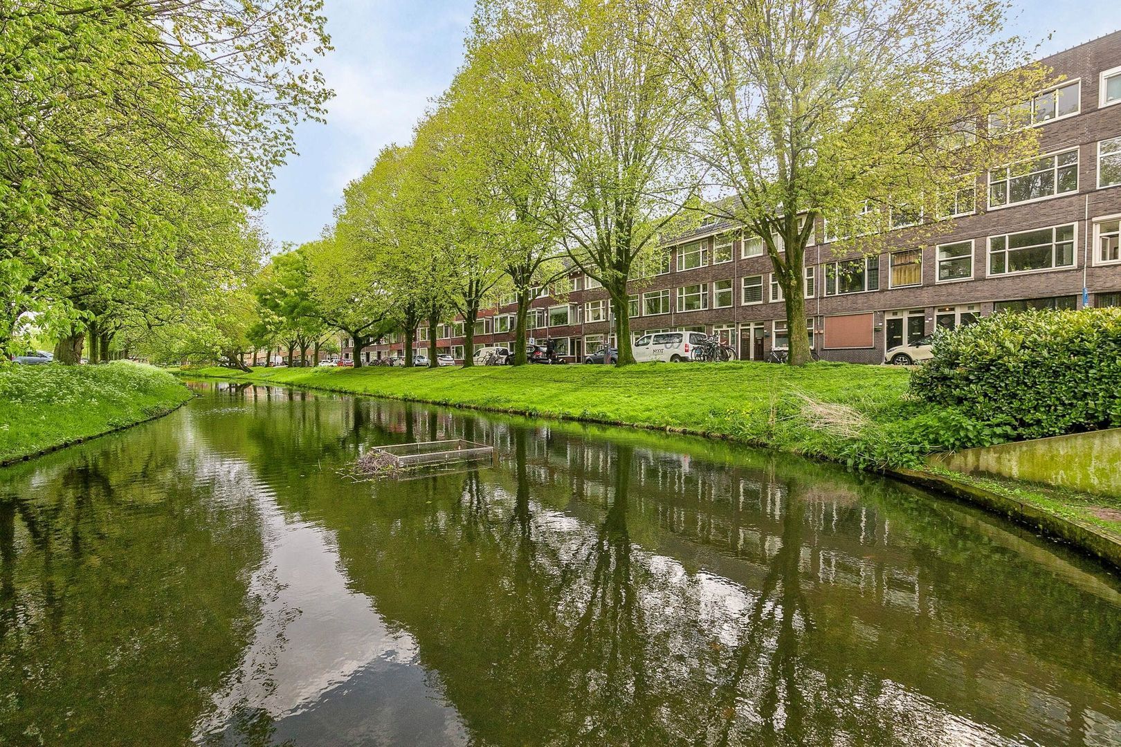 Buys Ballotsingel 79, Schiedam foto-41 blur