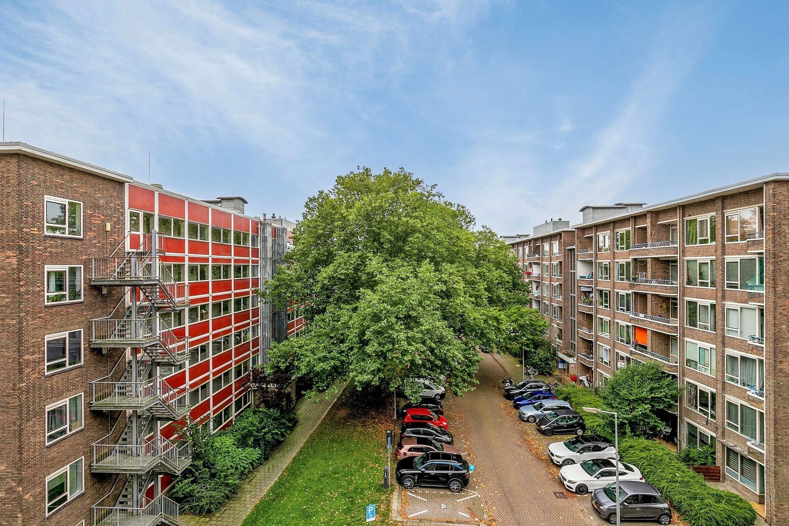 Nieuwe Damlaan 876, Schiedam foto-23 blur