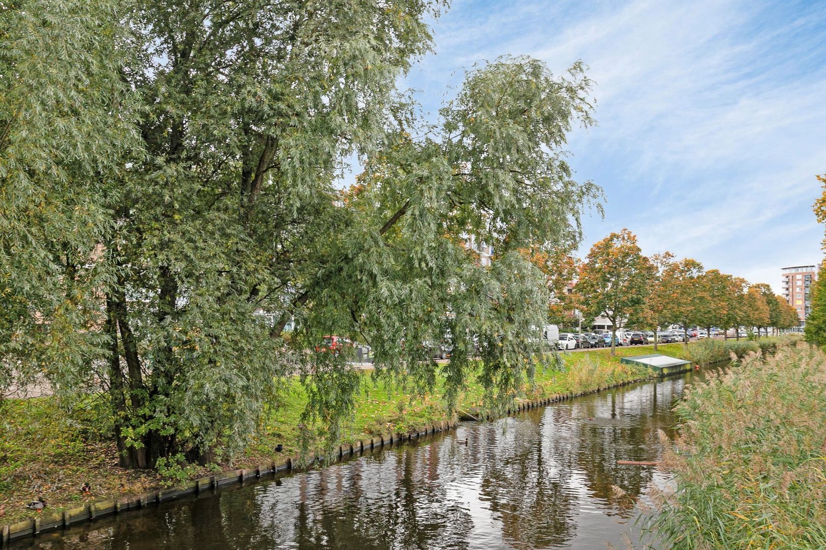 Herautpad 10, Schiedam foto-14 blur