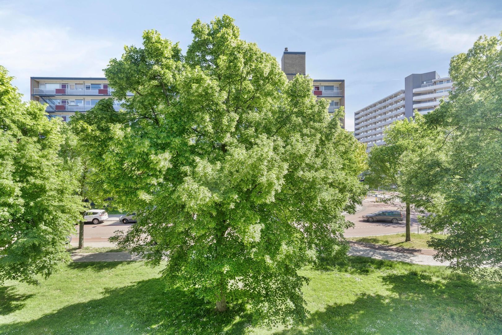 Rossinistraat 37, Schiedam foto-24 blur