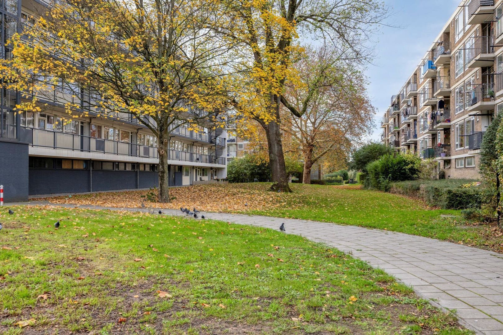 Burgemeester Van Haarenlaan 757, Schiedam foto-15 blur