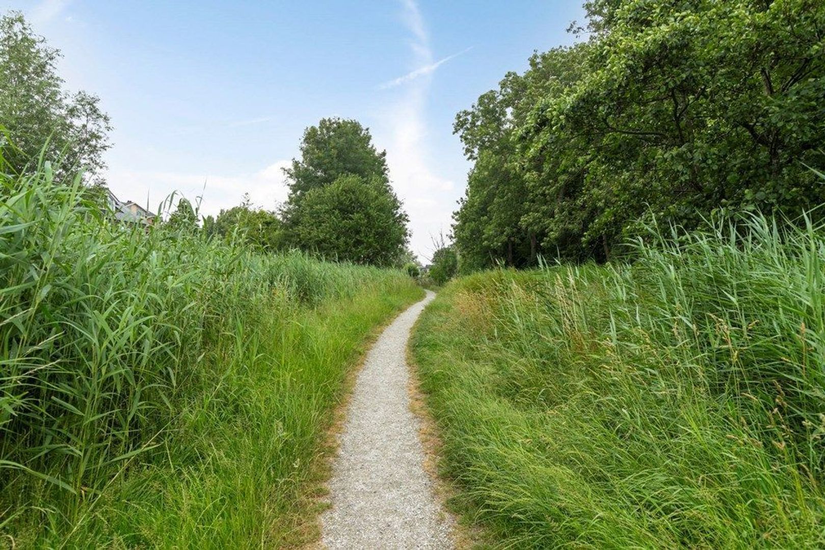 Freijaholm 41, Schiedam foto-41 blur