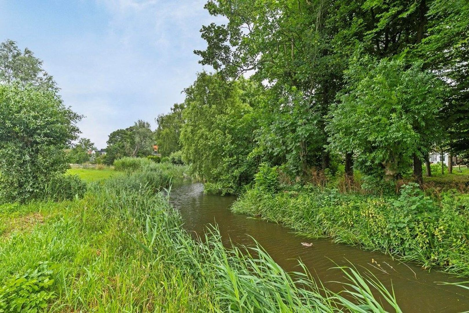 Freijaholm 41, Schiedam foto-42 blur