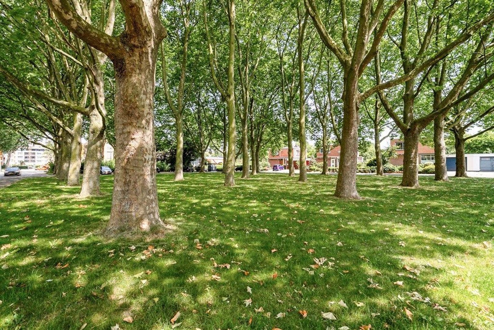 Van Der Leeuwlaan 2, Schiedam foto-32 blur