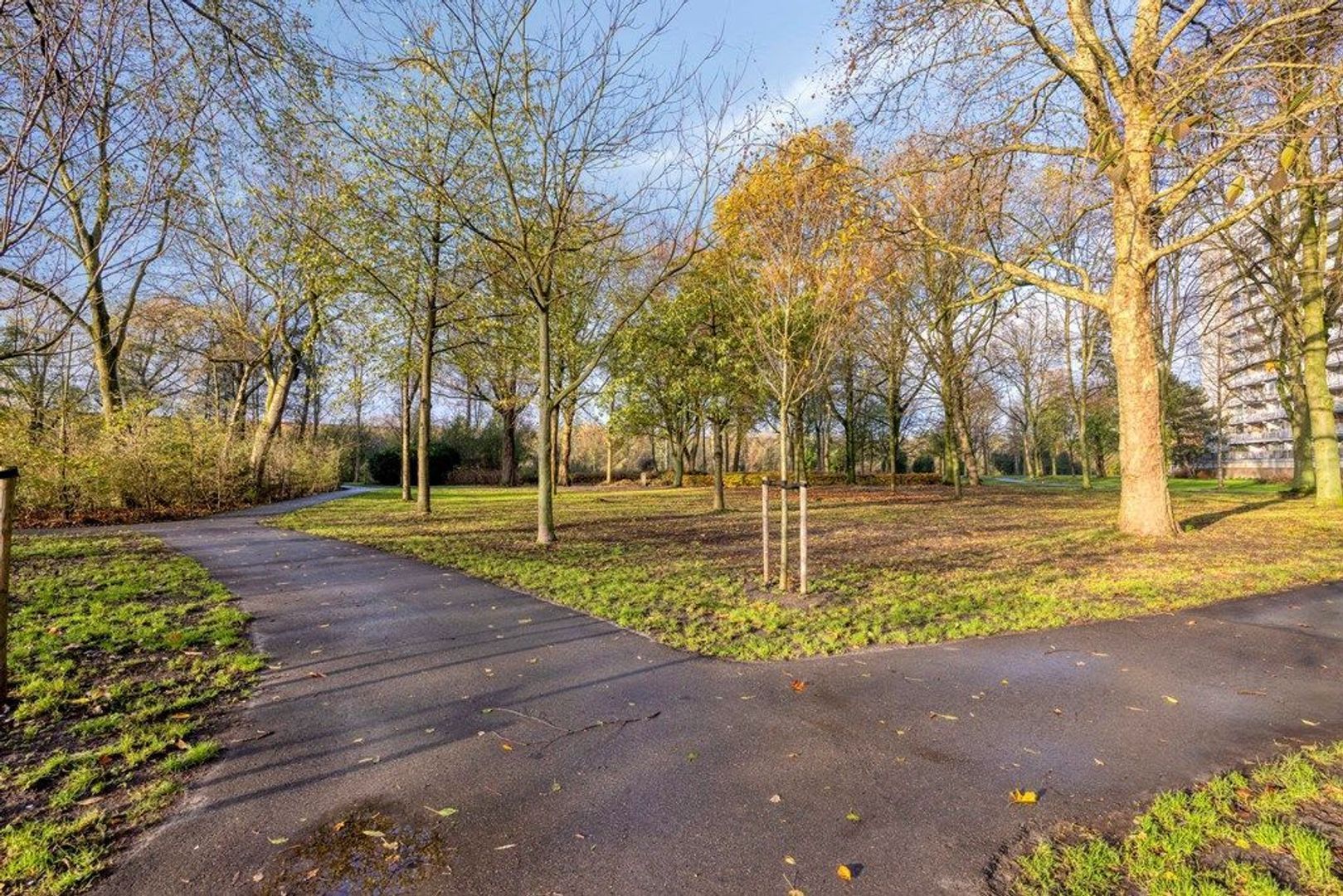 Chopinplein 120, Schiedam foto-26 blur