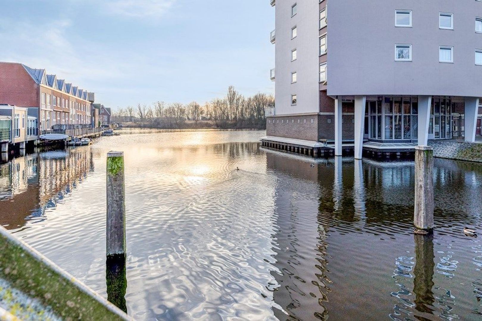 Groenelaan 121 B, Schiedam foto-39 blur