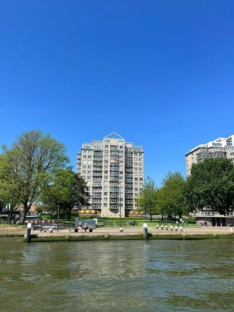 Maasboulevard 173, Schiedam foto-30 blur