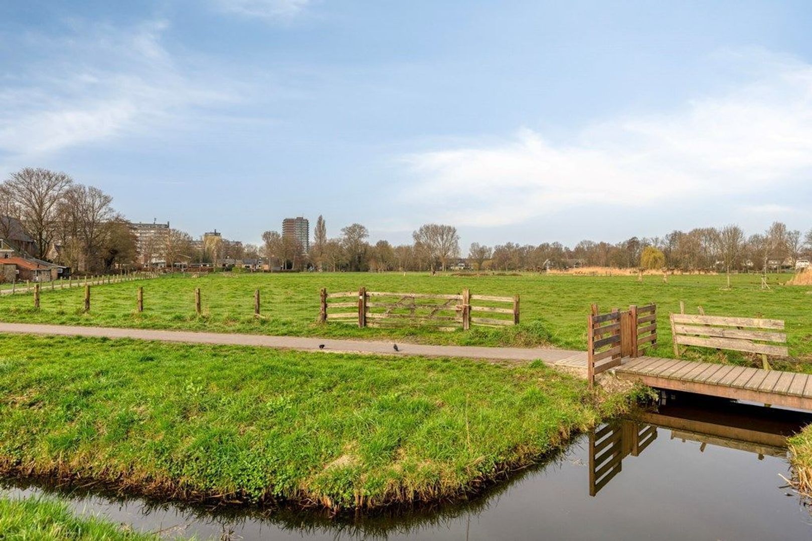 Kerklaan 10, Schiedam foto-42 blur