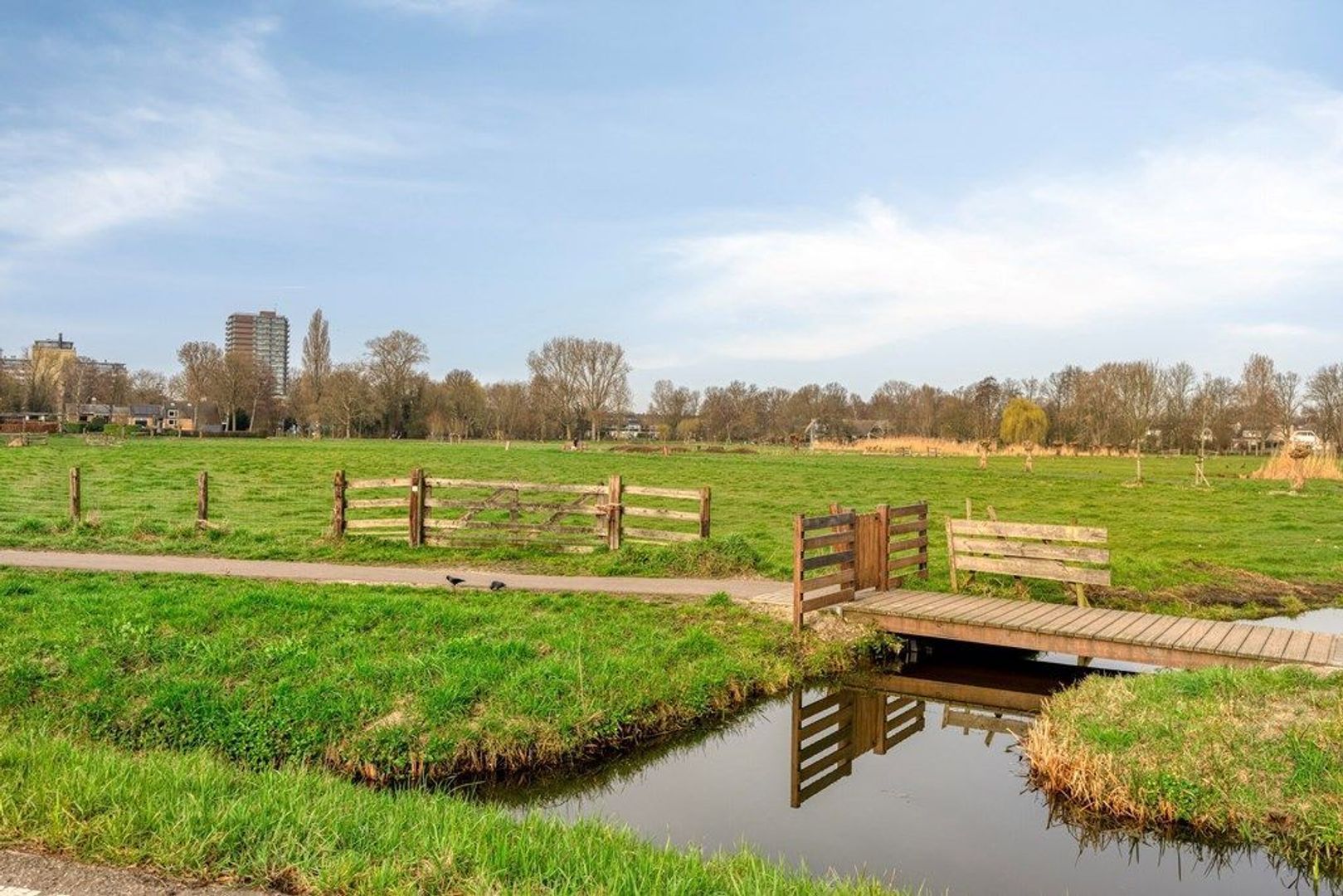 Kerklaan 10, Schiedam foto-41 blur