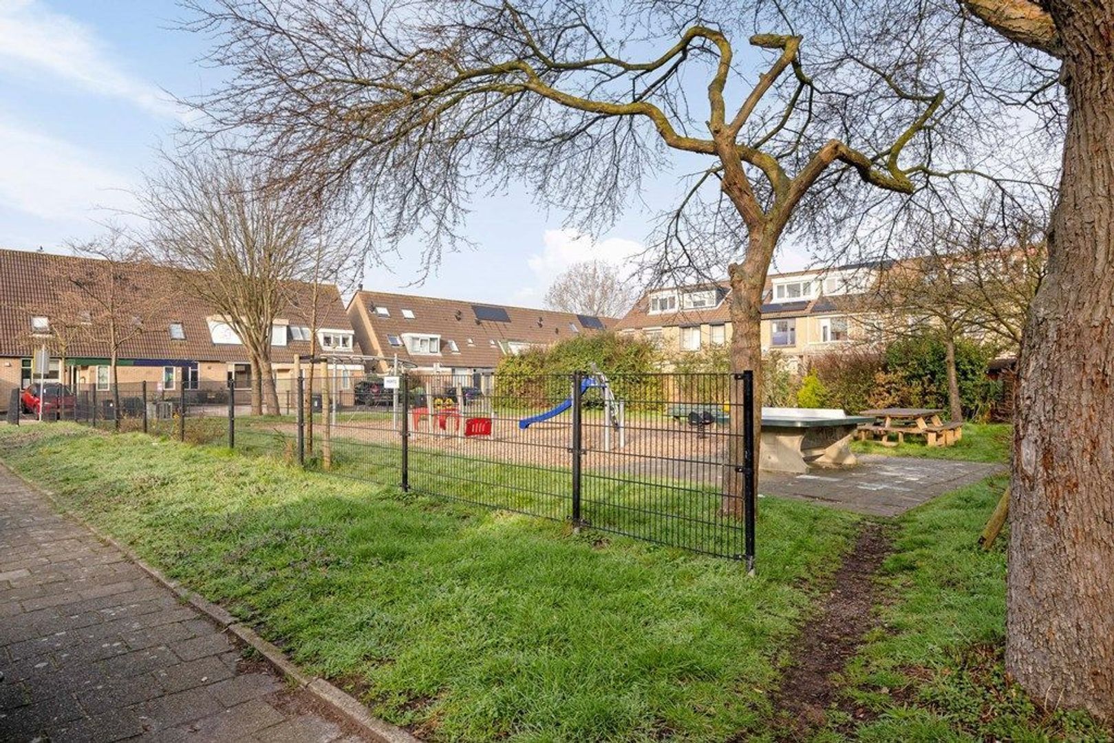 Hovenierstraat 17, Schiedam foto-23 blur