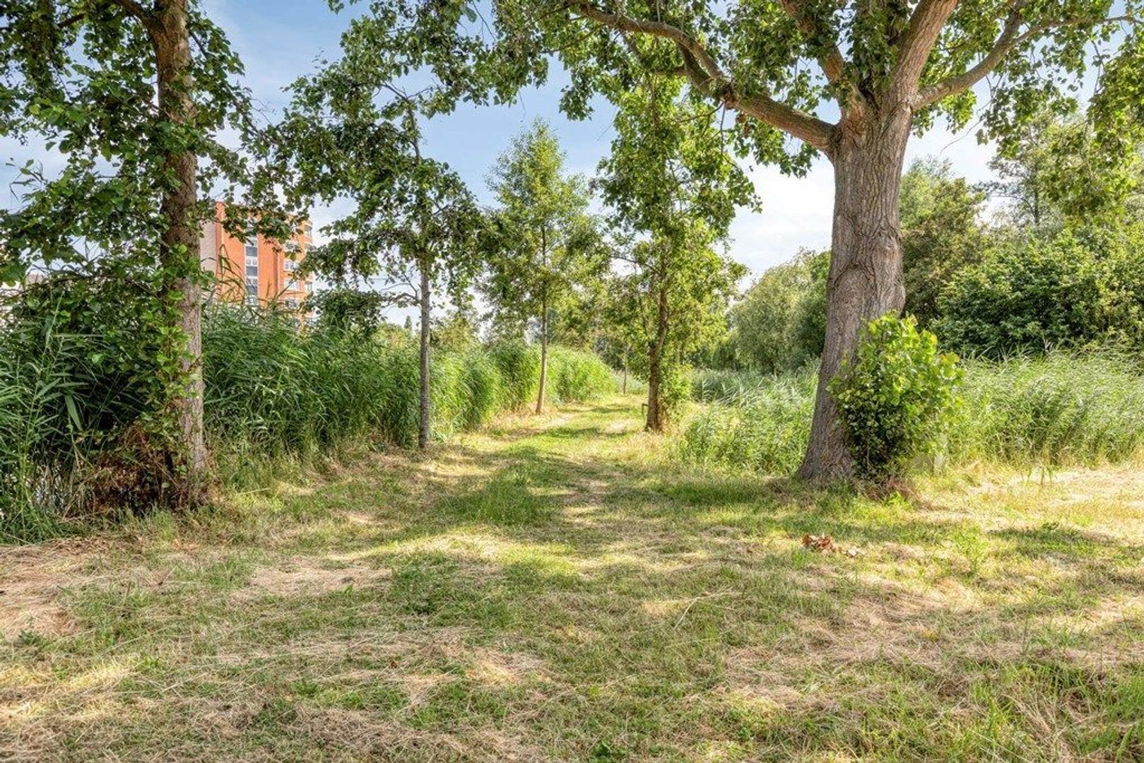 Ringvaart 15, Schiedam foto-33 blur