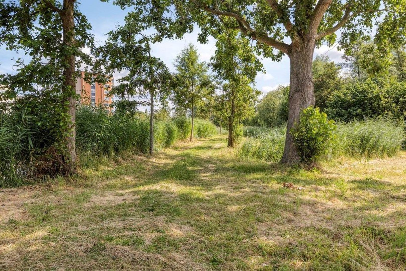 Ringvaart 23, Schiedam foto-29 blur