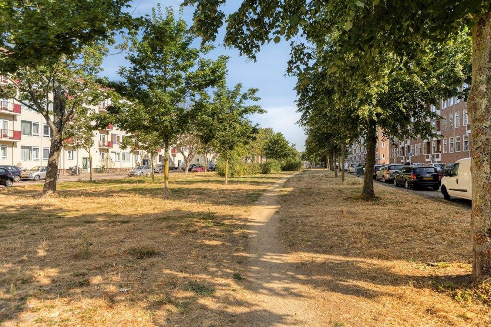 Cartesiusstraat 25 A, Schiedam foto-35 blur
