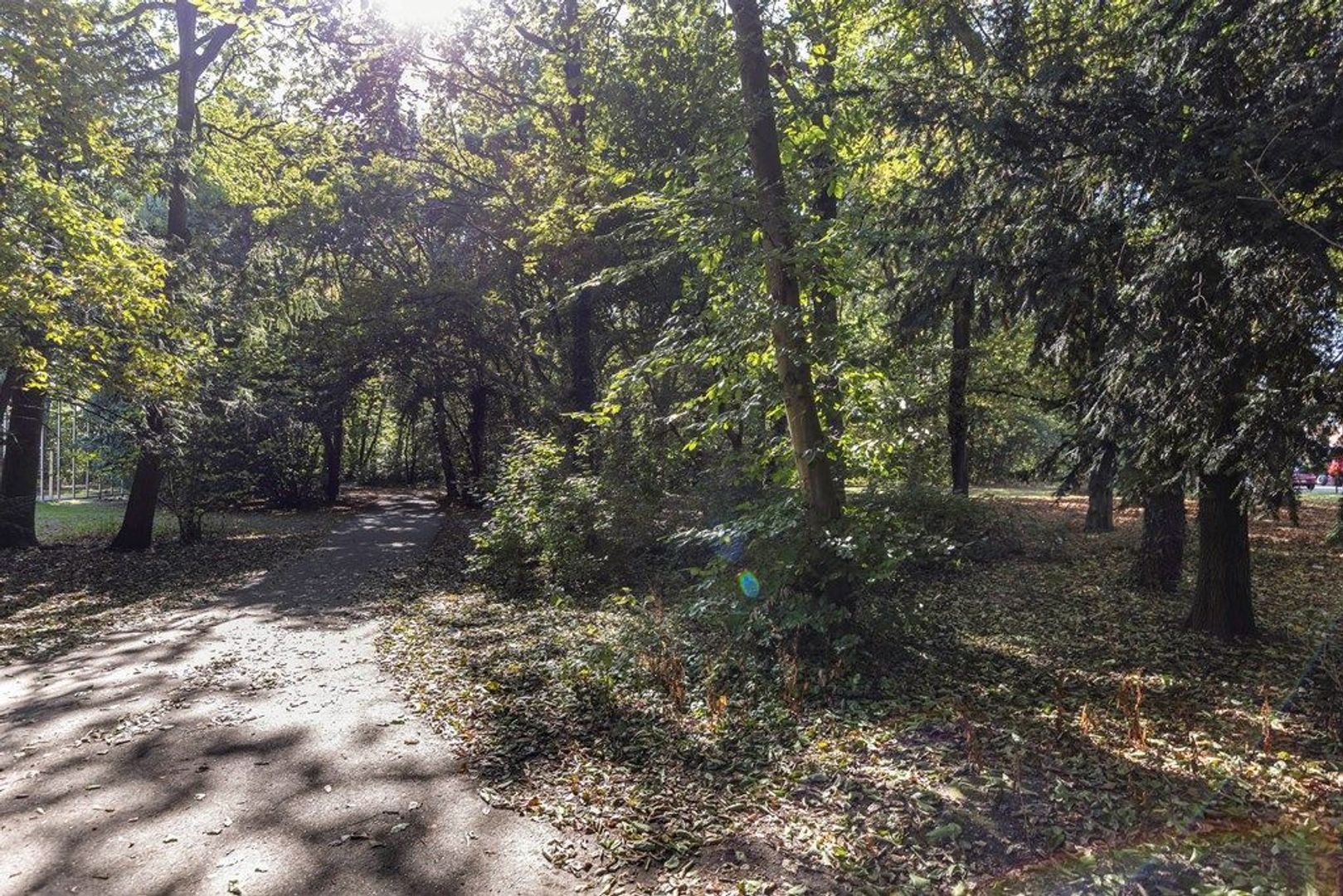 Graaf Florisstraat 73, Schiedam foto-40 blur