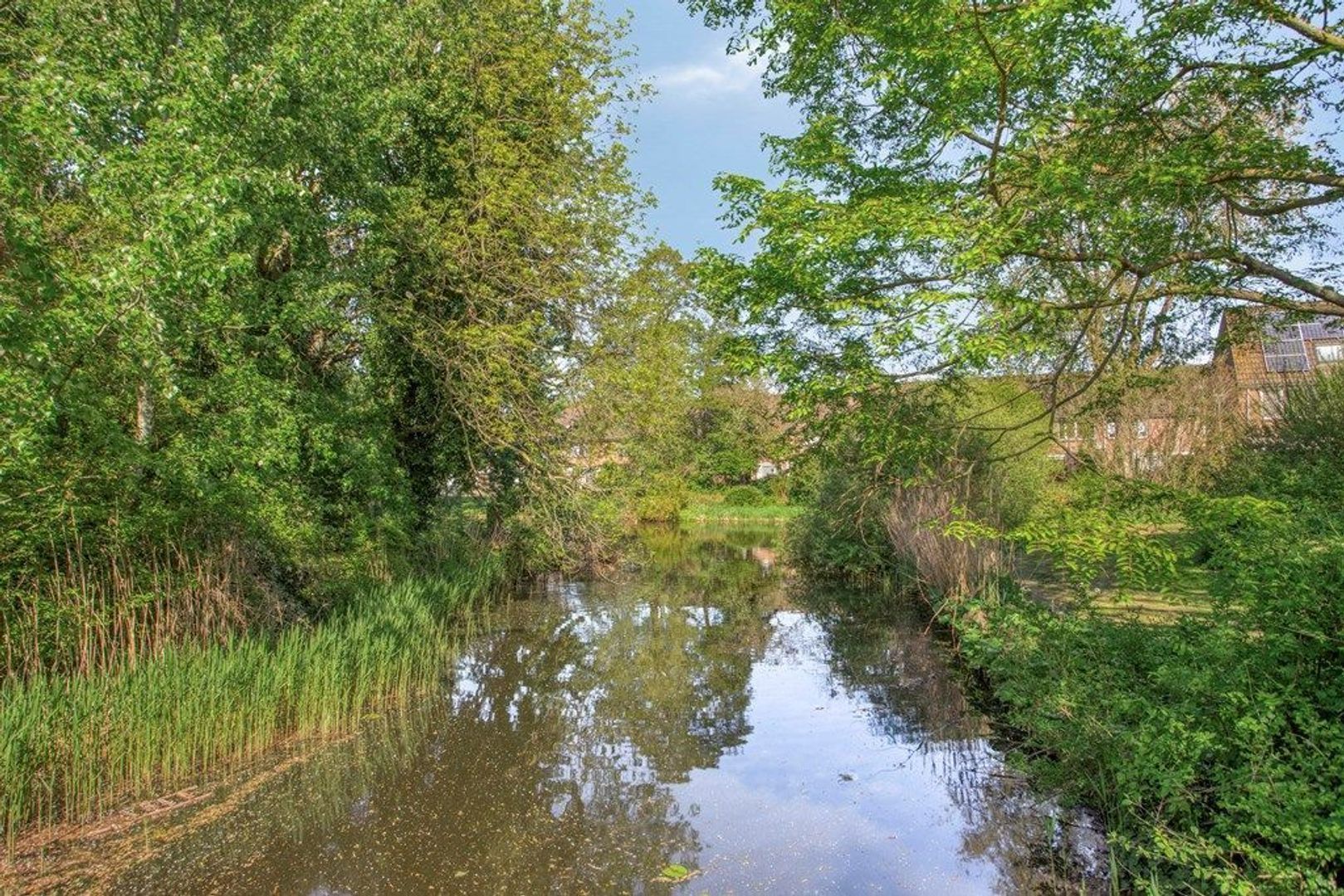 Voorberghlaan 14, Schiedam foto-27 blur