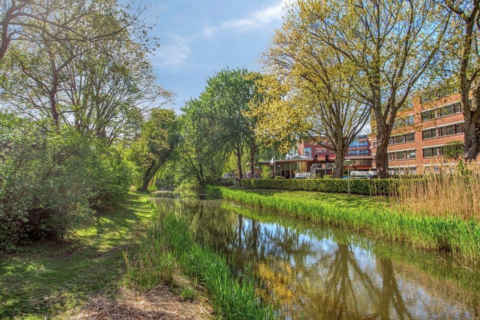 Voorberghlaan 14, Schiedam foto-28 blur