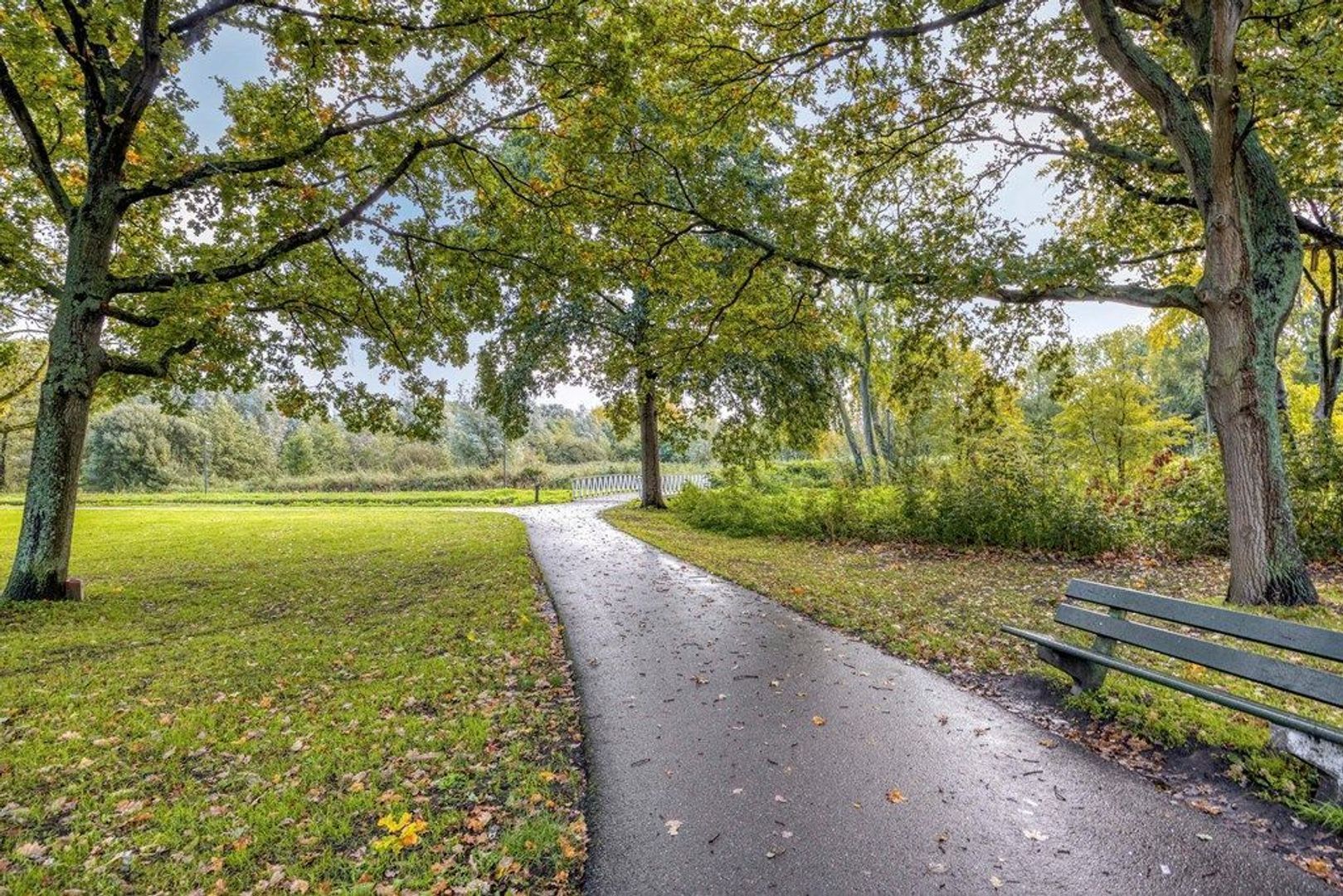Cornelis Van Der Loostraat 1, Schiedam foto-52 blur