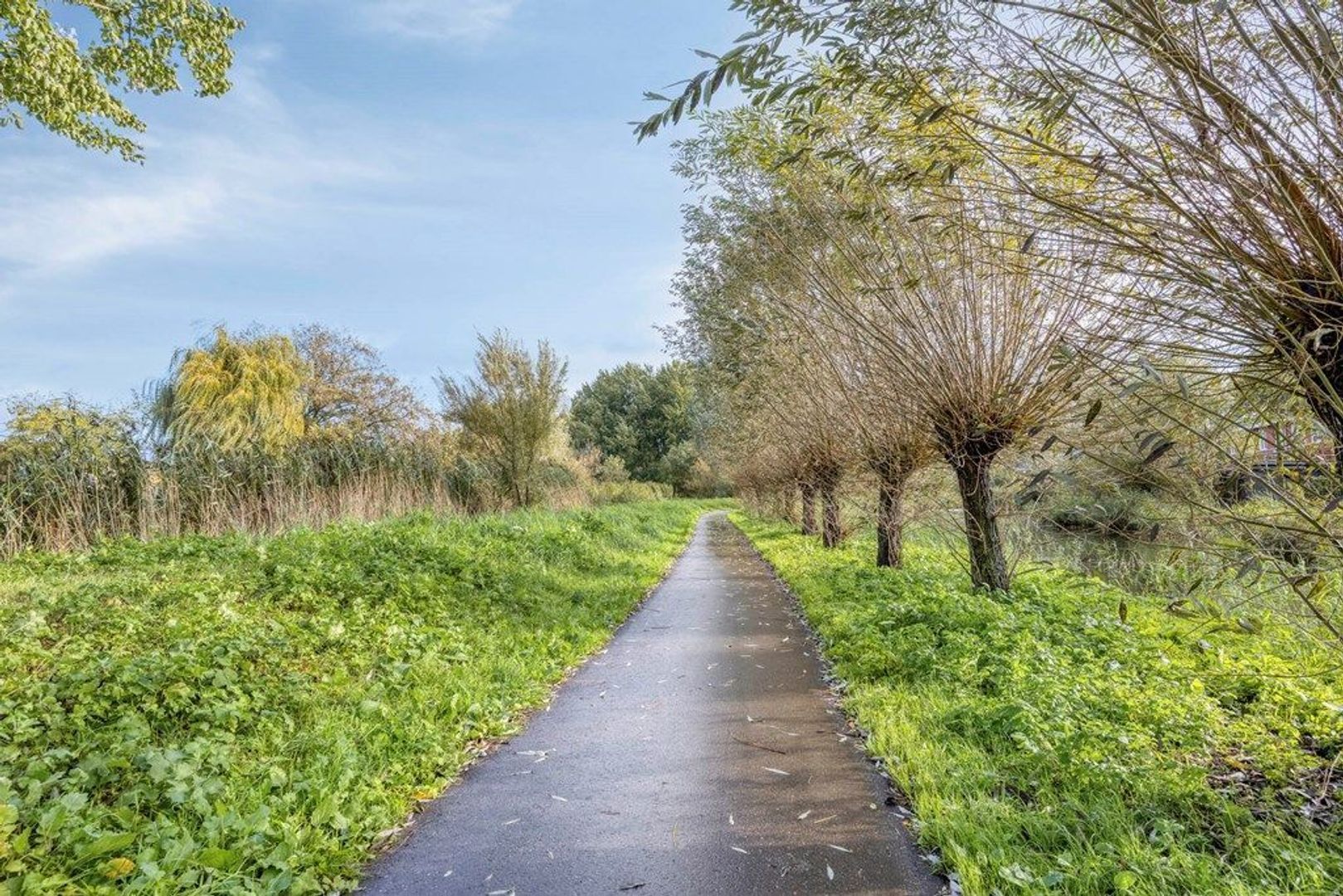 Cornelis Van Der Loostraat 1, Schiedam foto-54 blur