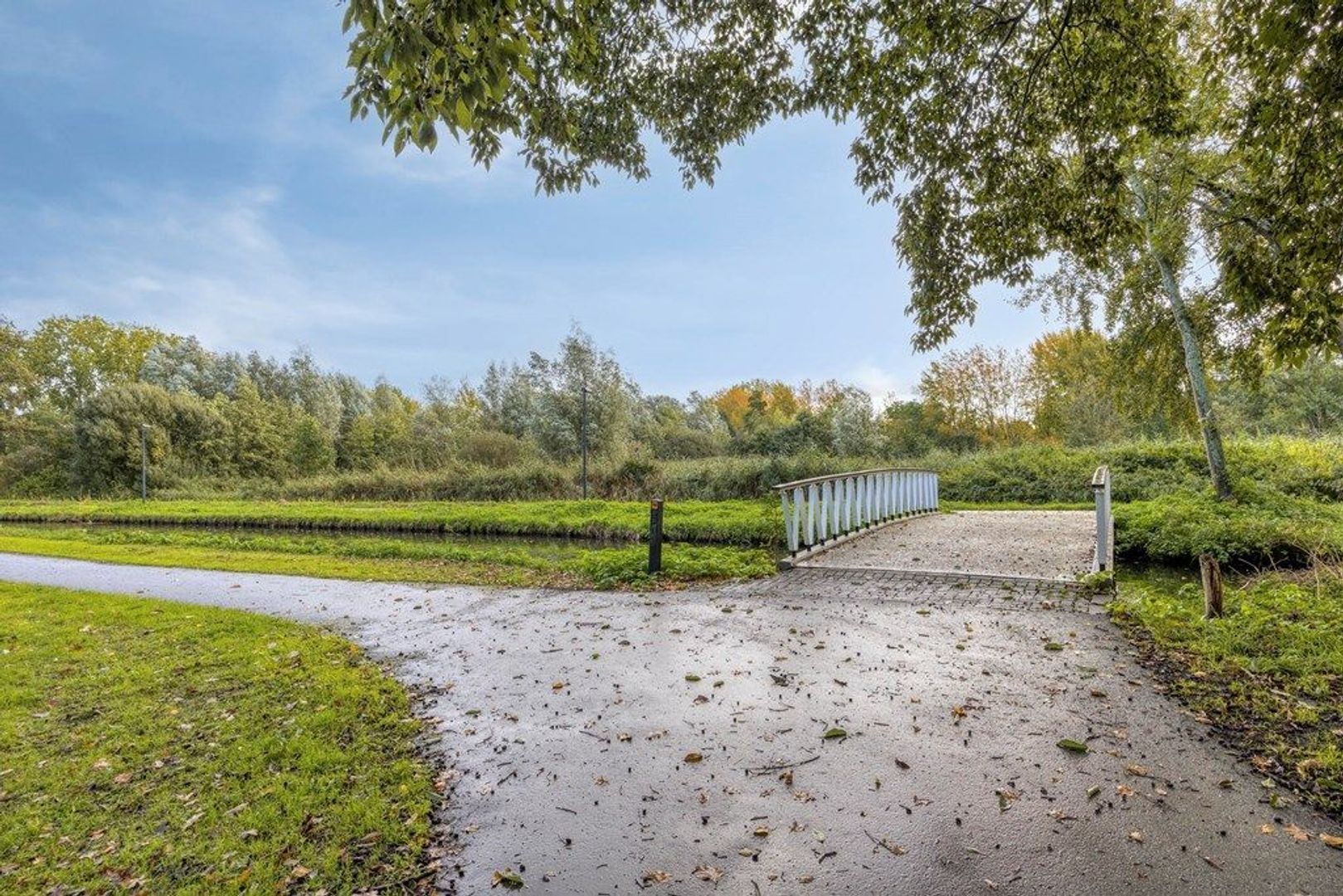 Cornelis Van Der Loostraat 1, Schiedam foto-53 blur