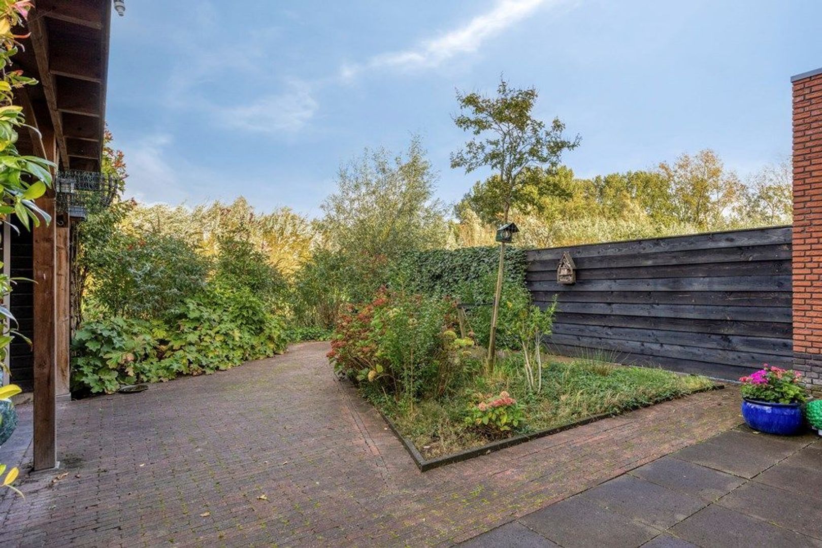 Cornelis Van Der Loostraat 1, Schiedam foto-47 blur