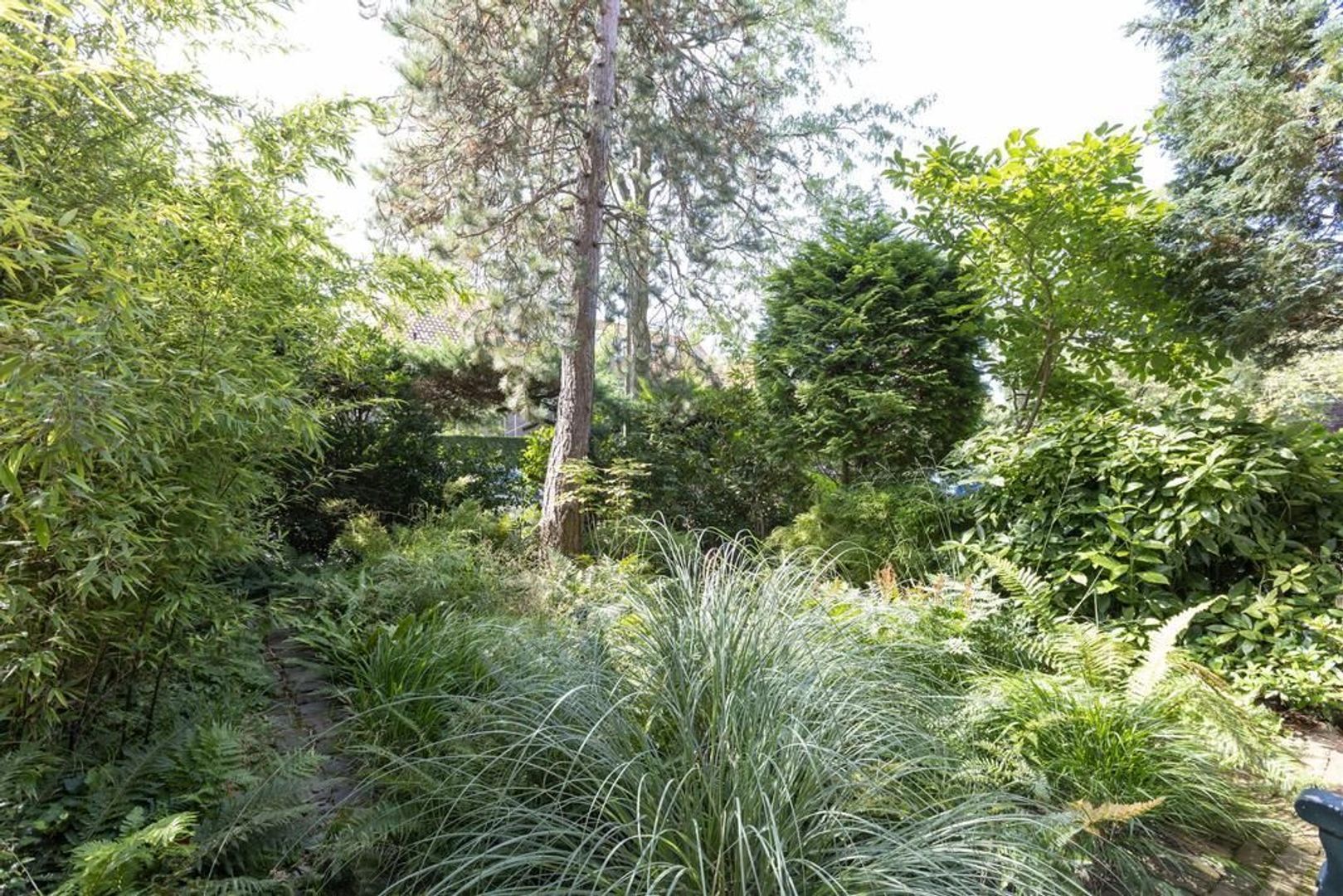 Waltherlaan 31, Bussum foto-4 blur